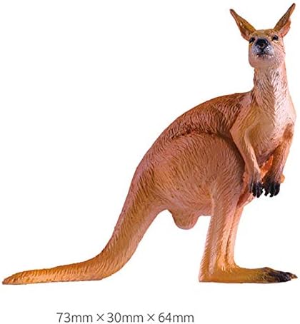 PNSO 5個 セット大洋州 オセアニア オーストラリア コアラ コモリグマ レッドカンガルー 動物 リアル フィギュア プラモデル おもちゃ 模型 25cm級
