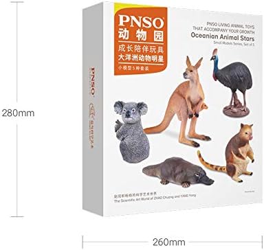 PNSO 5個 セット大洋州 オセアニア オーストラリア コアラ コモリグマ レッドカンガルー 動物 リアル フィギュア プラモデル おもちゃ 模型 25cm級