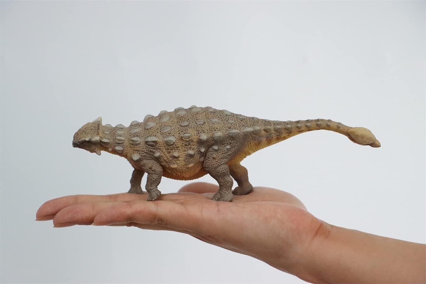 PNSO アンキロサウルス ジュラシック 恐竜 フィギュア PVC プラモデル おもちゃ 模型 25cm級
