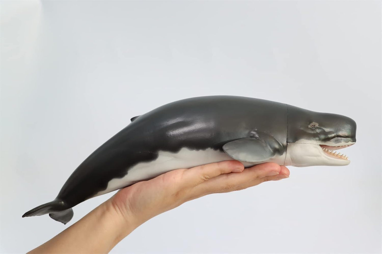 PNSO 成長シリーズ 56 リヴィアタン・メルビレイ リビアタン リヴァイアサン 海洋動物 フィギュア PVC おもちゃ 模型 32cm級