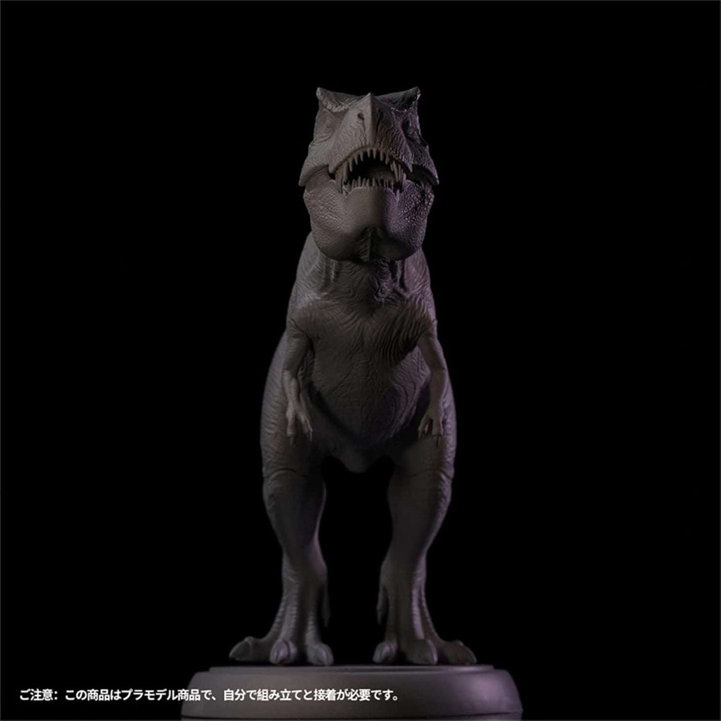 Nanmu 本心楠改 Alpha ティラノサウルス Tレックス 2.0 T-REX 38cm級 ガレキ 大きい 肉食 恐竜 リアル フィギュア PVC プラモデル おもちゃ ガレージキット 模型 未塗装 半製品