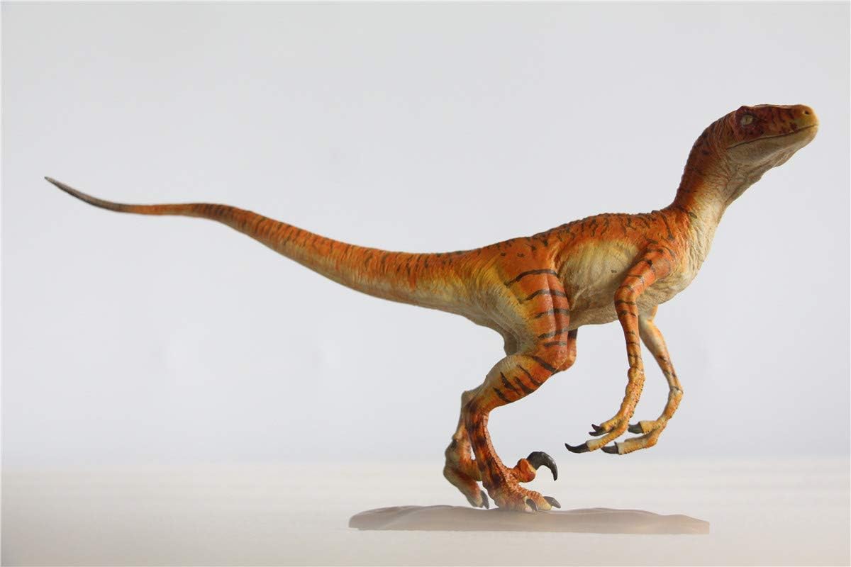 DINO DREAM 1/15 サイズ ヴェロキラプトル 恐竜 小型 肉食 リアル フィギュア PVC プラモデル 大人のおもちゃ 模型 プレゼント プレミアム 24cm級 オリジナル スタチュー 塗装済 完成品 置物 3色 台座付き (ヒョウ)