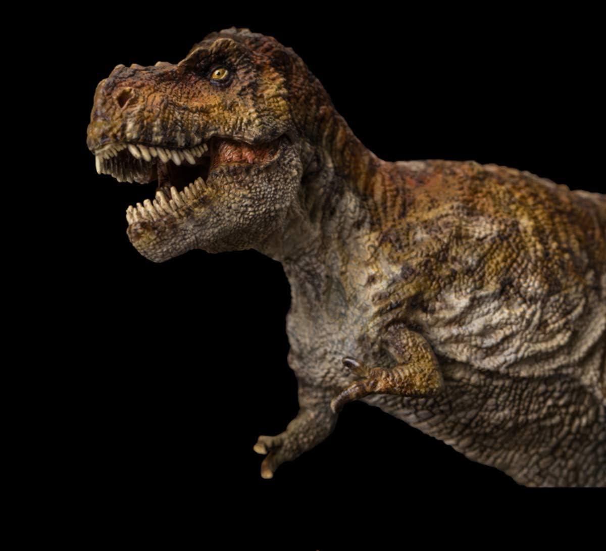 PNSO 限定版 豪華セット 1/35 サイズ ティラノサウルス・レックス T-REX Tレックス 恐竜 模型 フィギュア PVC プラモデル 37.5cm級 台座付き