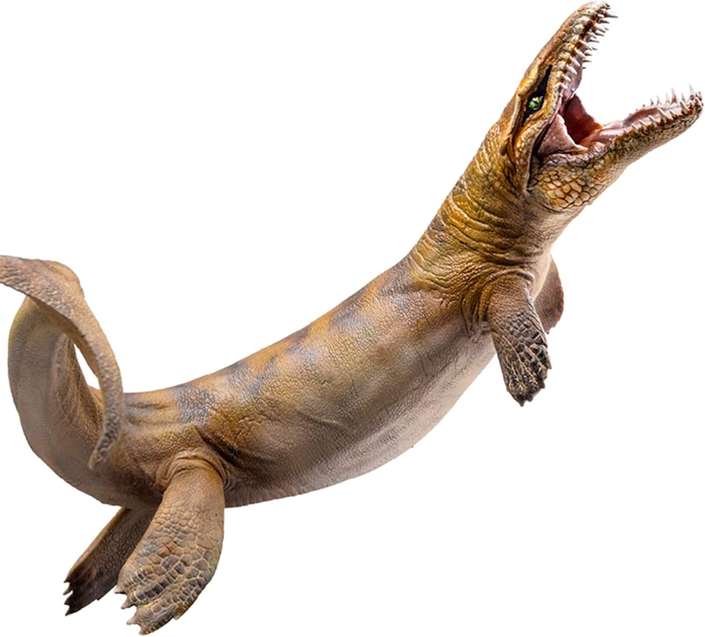 PNSO ダコサウルス Dakosaurus 恐竜 フィギュア PVC プラモデル おもちゃ 模型 13cm級