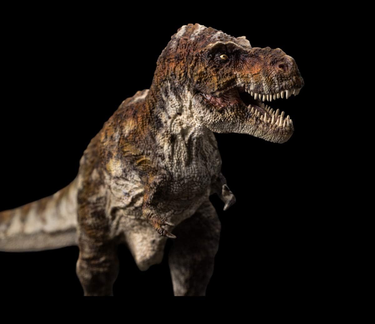 PNSO 限定版 豪華セット 1/35 サイズ ティラノサウルス・レックス T-REX Tレックス 恐竜 模型 フィギュア PVC プラモデル 37.5cm級 台座付き