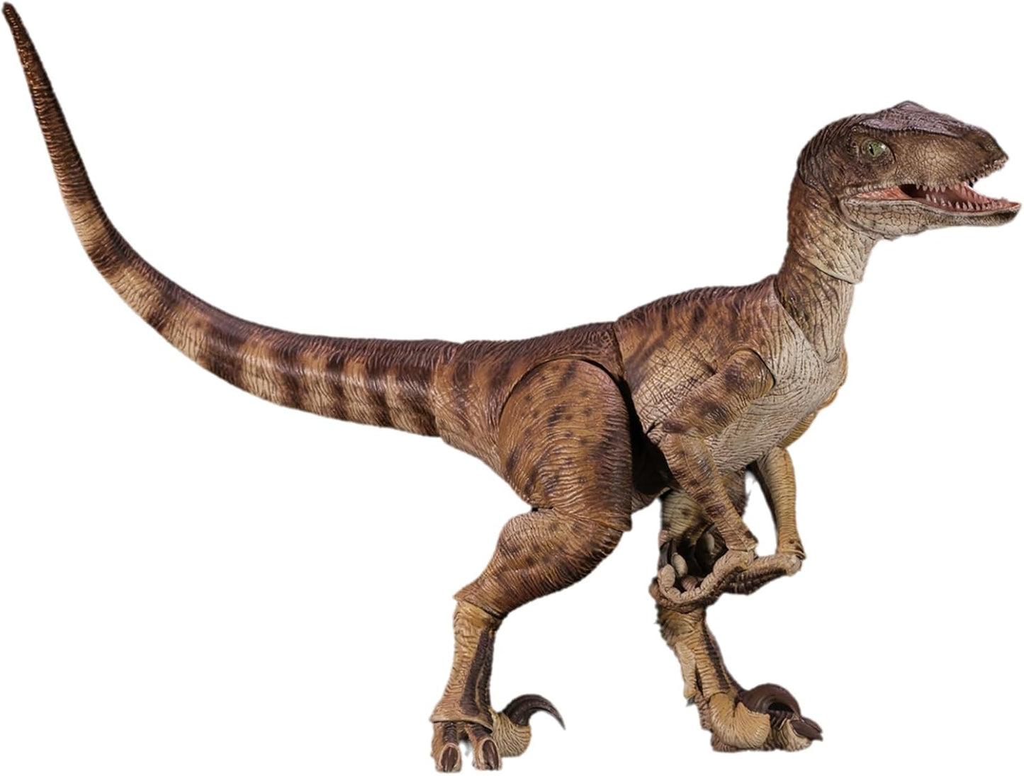 Nanmu 本心楠改 零集易動シリーズ2.5 ヴェロキラプトル 恐竜 フィギュア 35CM級 プラモデル