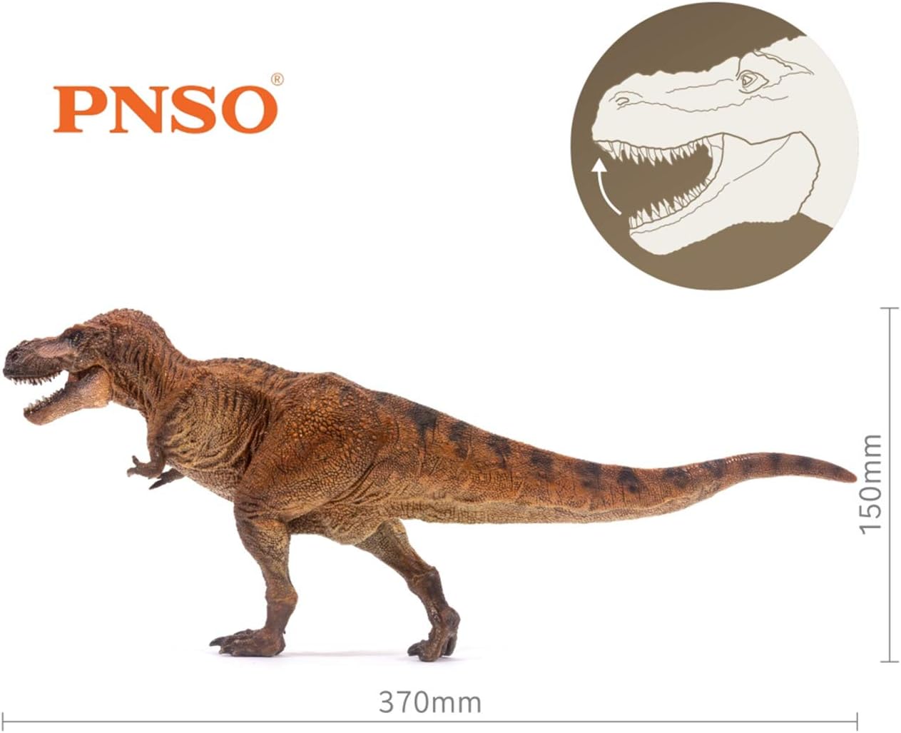 PNSO 成長シリーズ ティラノサウルス・レックス ウィルソン T-REX Tレックス 恐竜 フィギュア PVC プラモデル 37cm級