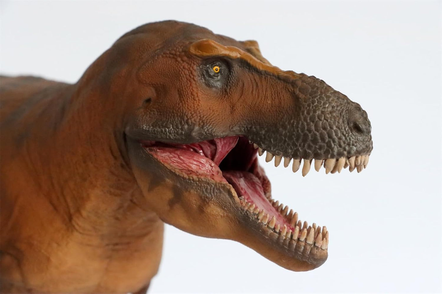 PNSO 恐竜博物館 1/35 サイズ ティラノサウルス T-REX フィギュア 35cm級 頭蓋骨付属 恐竜 PVC おもちゃ 模型
