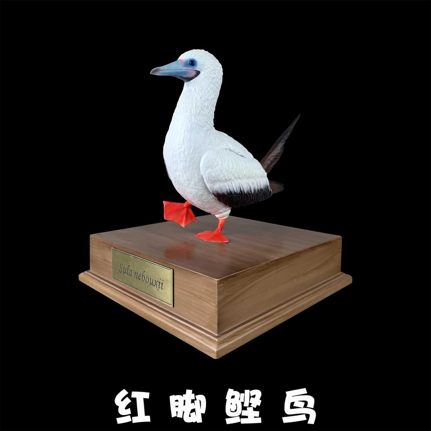 博物志 アカアシカツオドリ フィギュア カツオドリ科 赤脚 15CM級 樹脂 動物 鳥類 コレクター 可愛い プラモデル おもちゃ 模型 プレゼント 置物