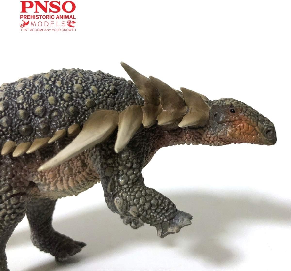 PNSO 成長シリーズ サウロペルタ 恐竜 動物 フィギュア PVC プラモデル おもちゃ 模型 17.3cm級