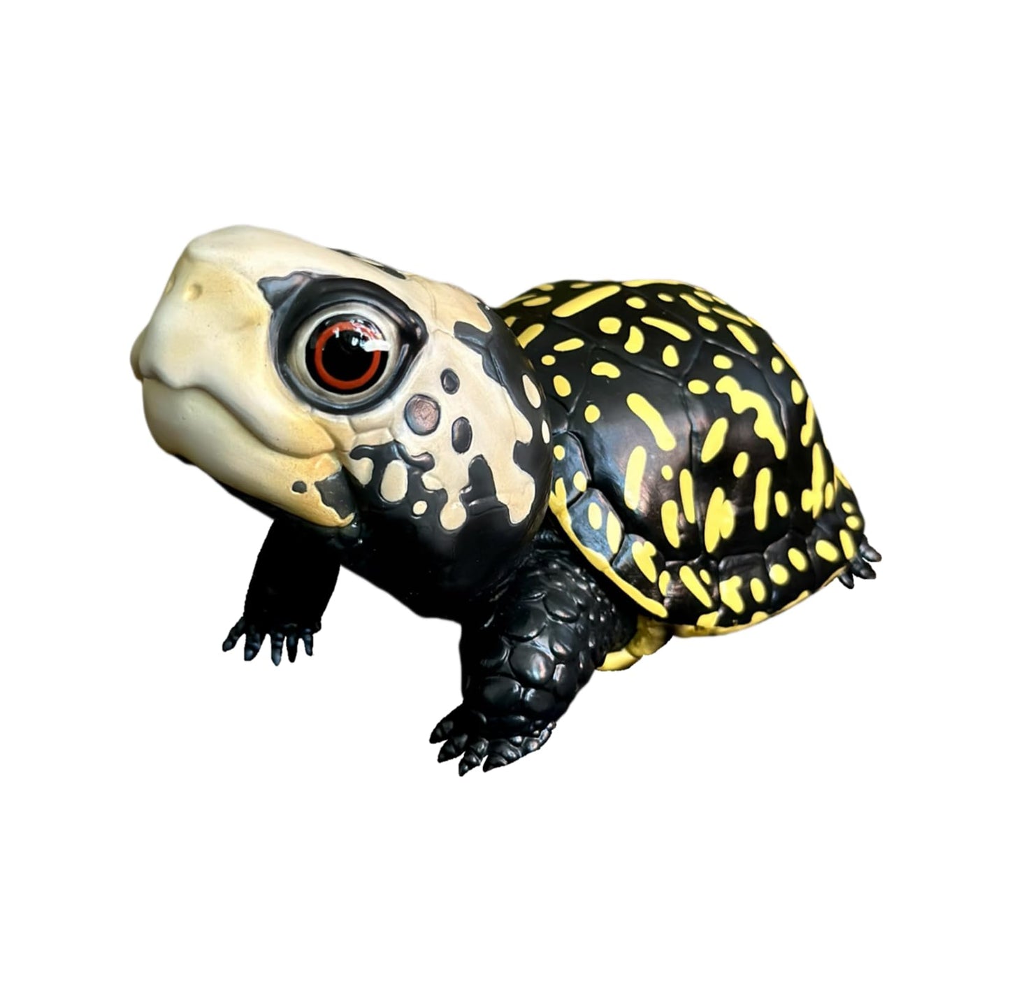 動物惑星 ハコガメ フィギュア カメ 亀 10.5CM級 カメ目 ニシキハコガメ ユカタンハコガメ フロリダハコガメ爬虫類 情景セット 樹脂 可愛い おもちゃ リアル 動物好き オリジナル 模型 (7点セット)
