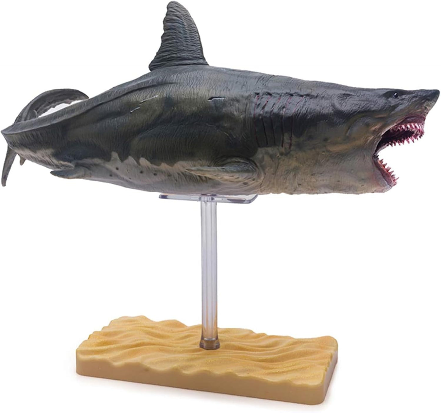 PNSO 1/35 サイズ メガロドン ホホジロザメ フィギュア 31.5cm PVC プラモデル モデル