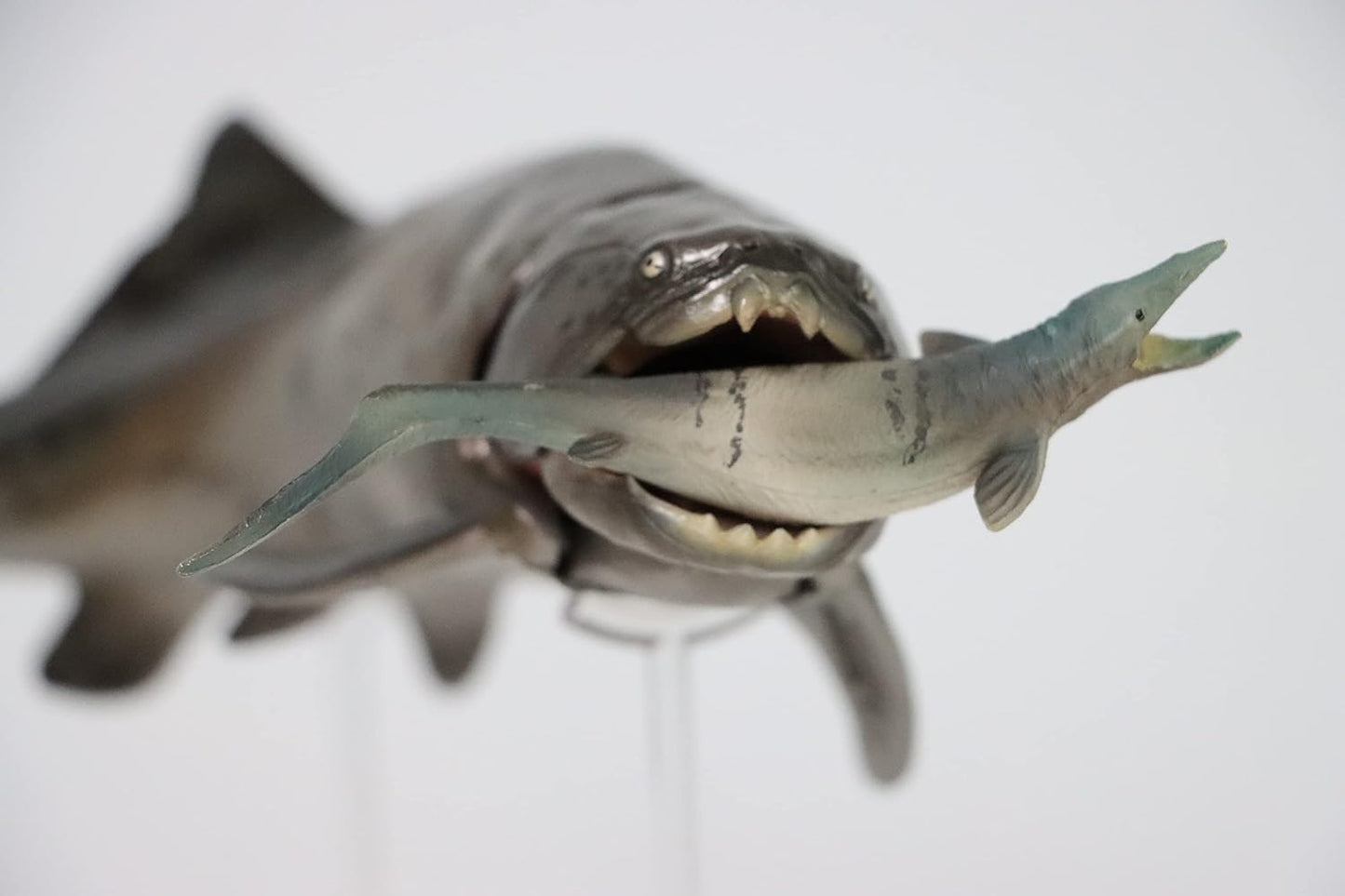 PNSO ダンクルオステウス ダンクレオステウス 古代魚 フィギュア プラモデル おもちゃ 模型 PVC 23cm級