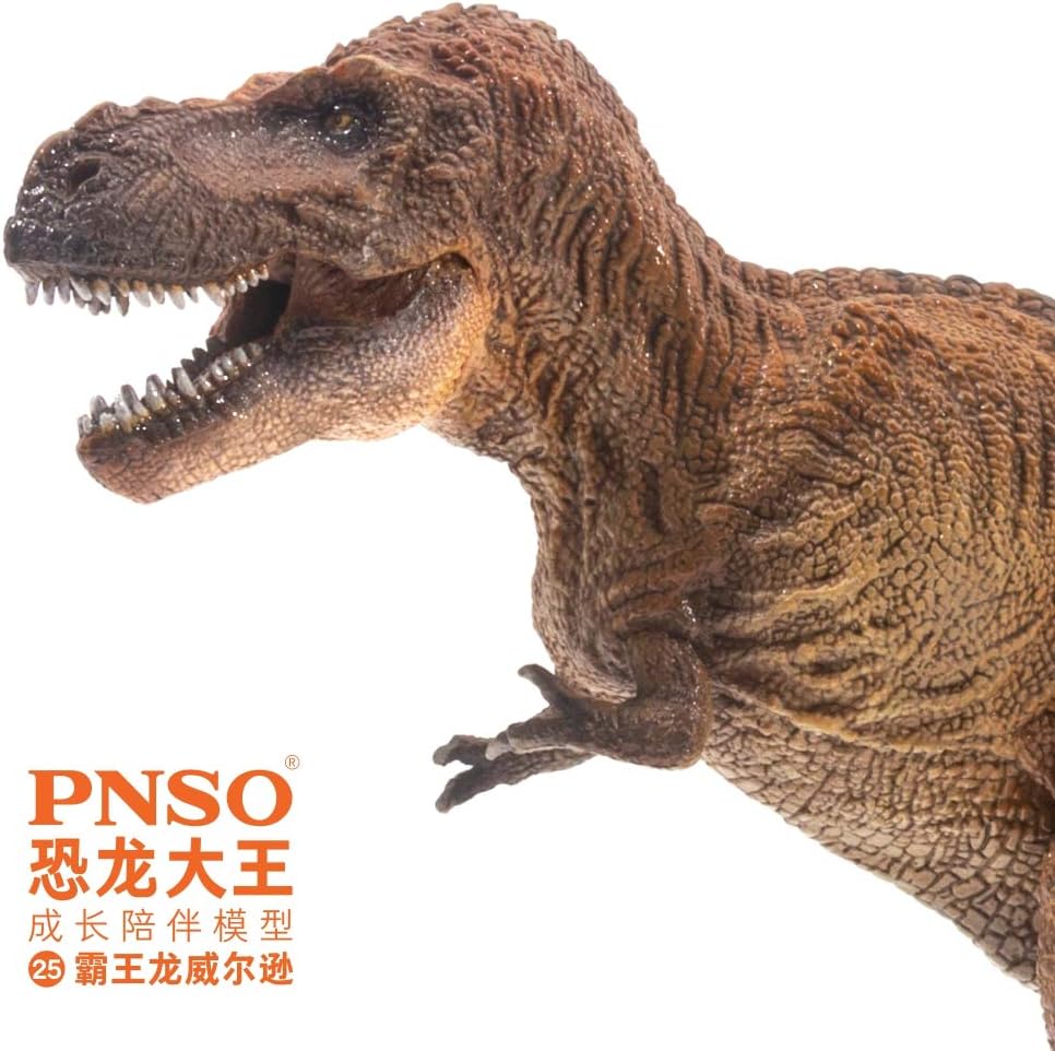 PNSO 成長シリーズ 25 ティラノサウルス 恐竜 フィギュア
