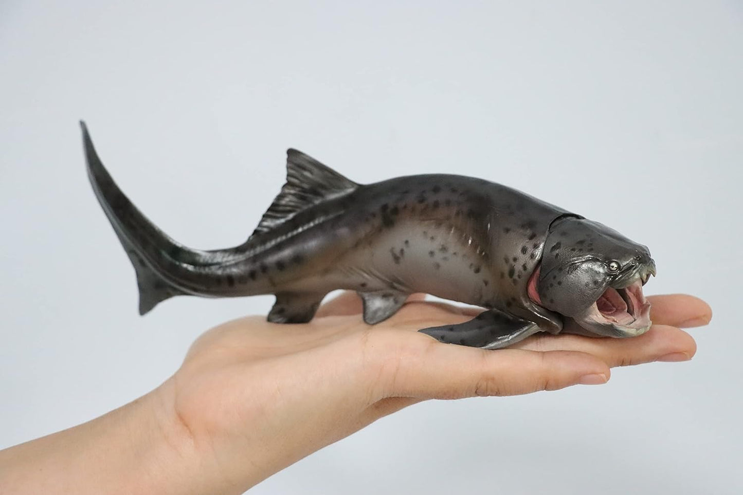 PNSO ダンクルオステウス ダンクレオステウス 古代魚 フィギュア プラモデル おもちゃ 模型 PVC 23cm級