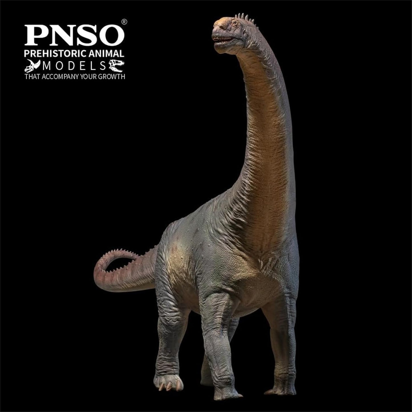 PNSO 成長シリーズ 85 カマラサウルス フィギュア恐竜 35cm級 PVC おもちゃ 模型