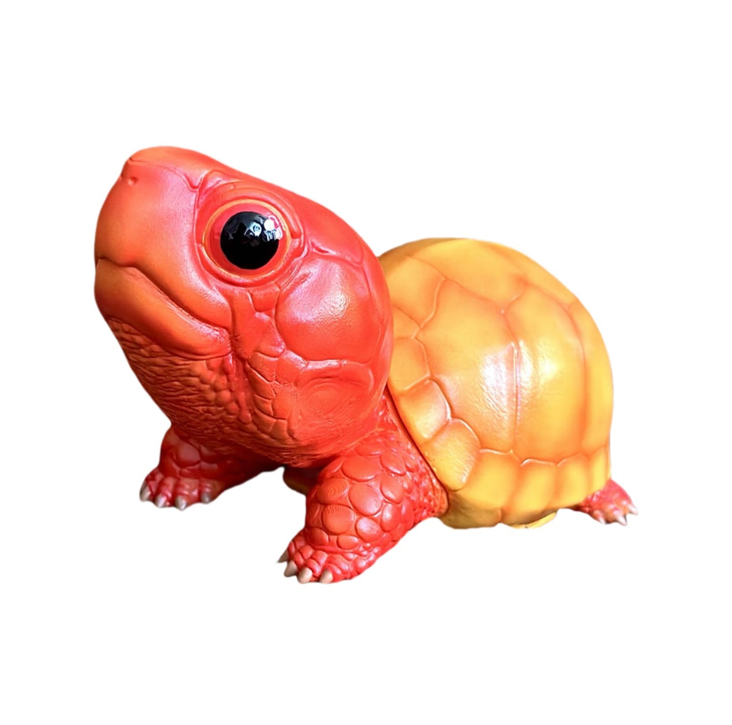 動物惑星 ハコガメ フィギュア カメ 亀 10.5CM級 カメ目 ニシキハコガメ ユカタンハコガメ フロリダハコガメ爬虫類 情景セット 樹脂 可愛い おもちゃ リアル 動物好き オリジナル 模型 (7点セット)