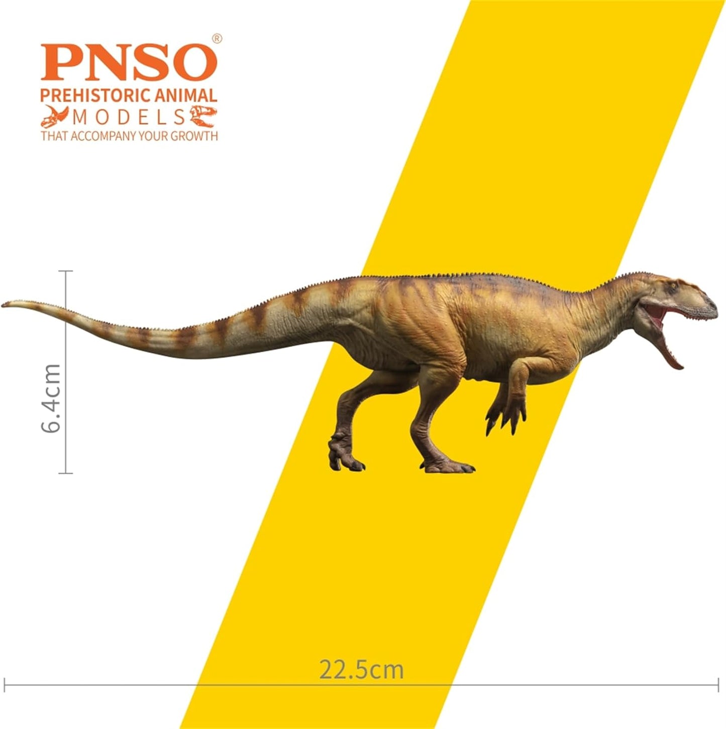 PNSO 成長シリーズ 77 ヤンチュアノサウルス フィギュア 22.5cm級 恐竜 PVC おもちゃ 模型