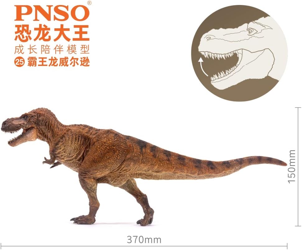 PNSO 成長シリーズ 25 ティラノサウルス 恐竜 フィギュア