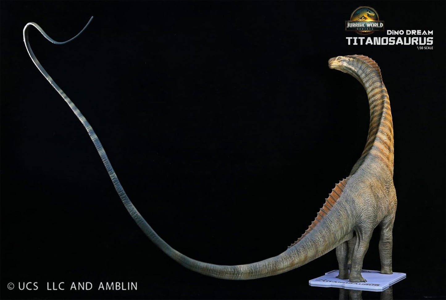 DINO DREAM 1/30 サイズ ティタノサウルス 白亜紀 ティタノサウルス類 竜脚類 植物食 恐竜 69cm級 フィギュア 樹脂 プラモデル 模型 シーン 情景セット 塗装済 台座付き