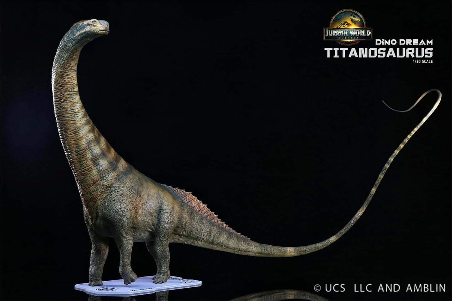 DINO DREAM 1/30 サイズ ティタノサウルス 白亜紀 ティタノサウルス類 竜脚類 植物食 恐竜 69cm級 フィギュア 樹脂 プラモデル 模型 シーン 情景セット 塗装済 台座付き