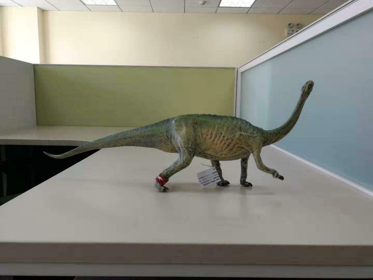 PNSO ルーフェンゴサウルス Lufengosaurus 禄豊龍 恐竜 フィギュア PVC プラモデル 模型 53cm級