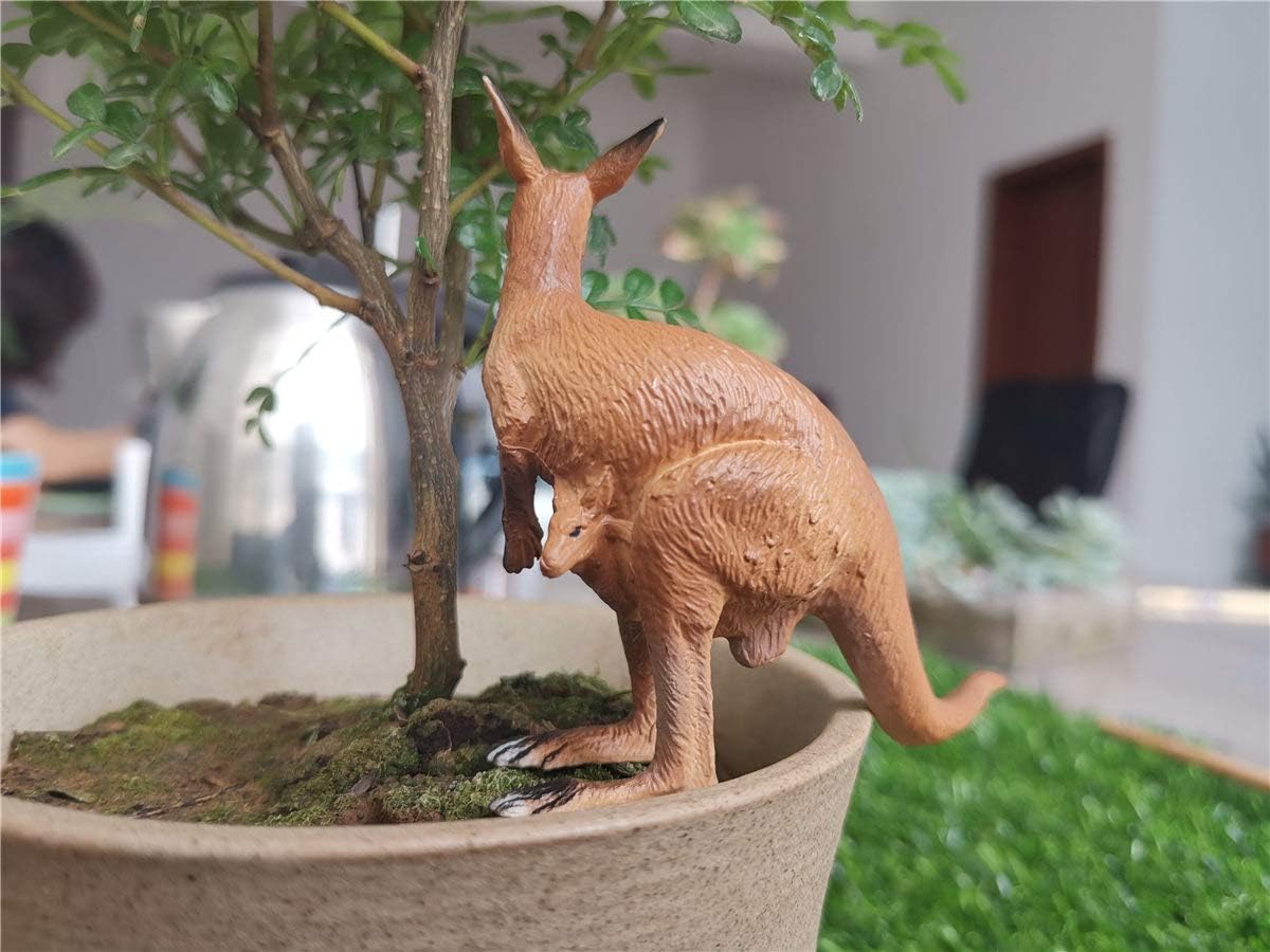 PNSO 5個 セット大洋州 オセアニア オーストラリア コアラ コモリグマ レッドカンガルー 動物 リアル フィギュア プラモデル おもちゃ 模型 25cm級