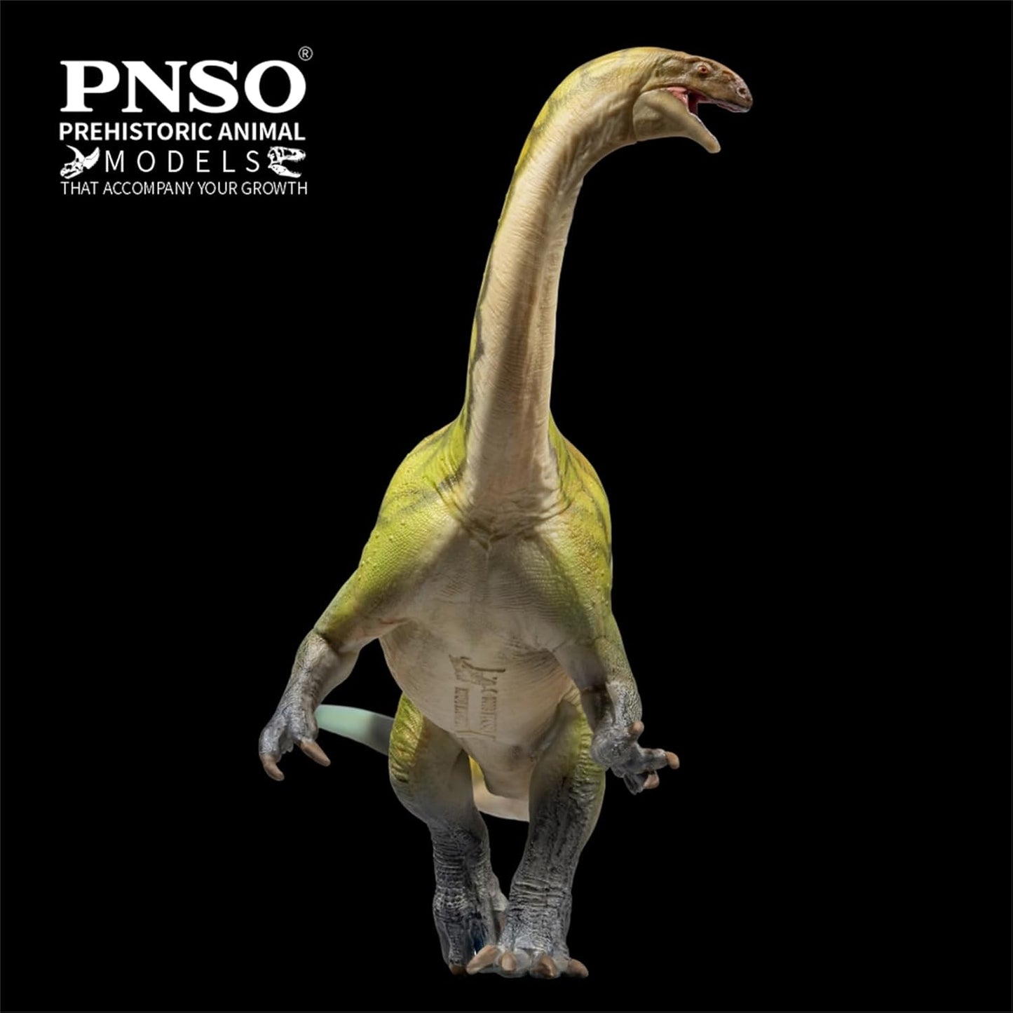 PNSO 成長シリーズ 81 ルーフェンゴサウルス フィギュア 25cm級 恐竜 PVC おもちゃ 模型
