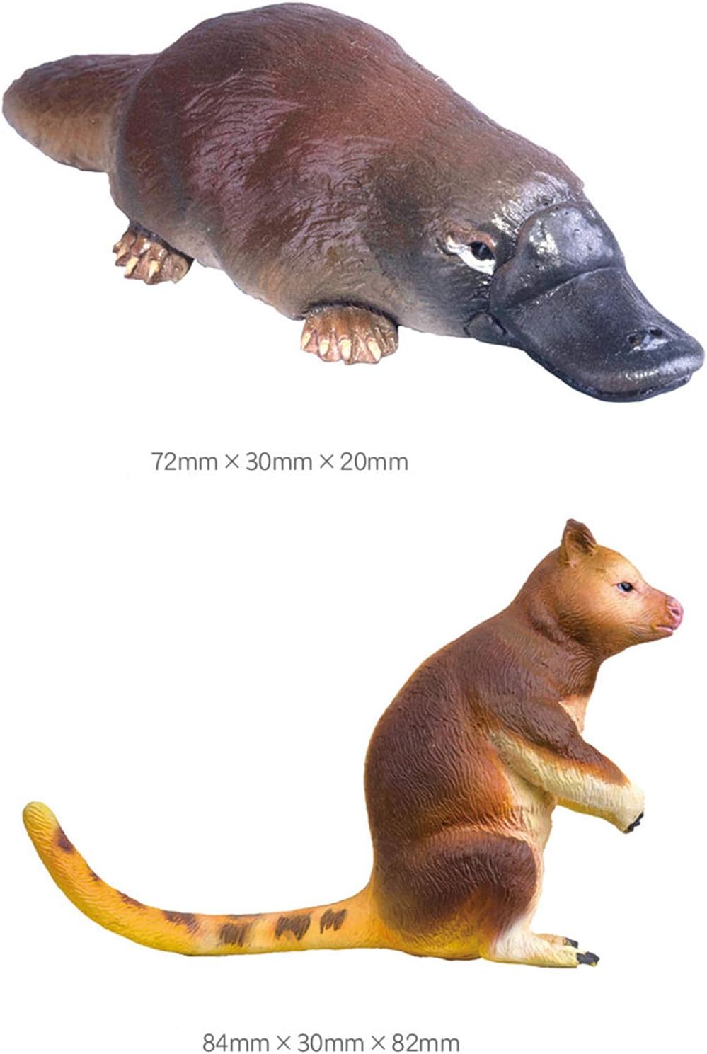 PNSO 5個 セット大洋州 オセアニア オーストラリア コアラ コモリグマ レッドカンガルー 動物 リアル フィギュア プラモデル おもちゃ 模型 25cm級
