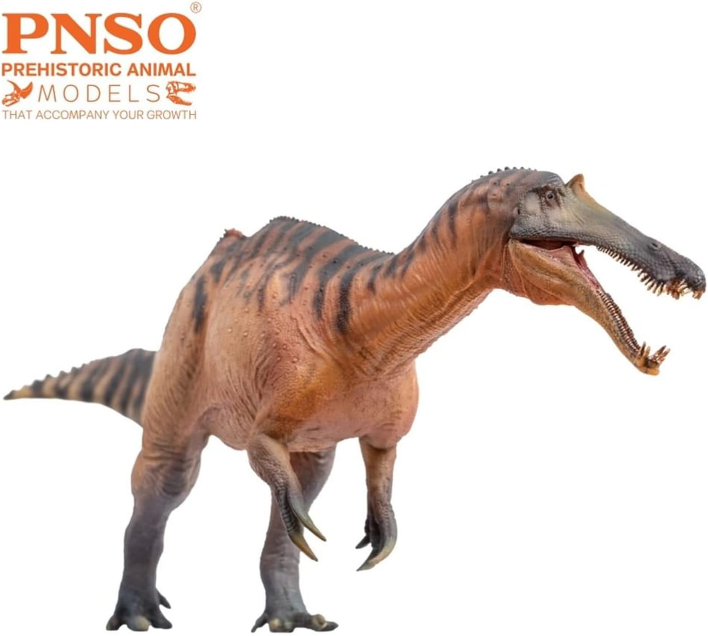 PNSO 成長シリーズ 66 シノプリオサウルス スピノサウルス科 恐竜 フィギュア プラモデル 模型