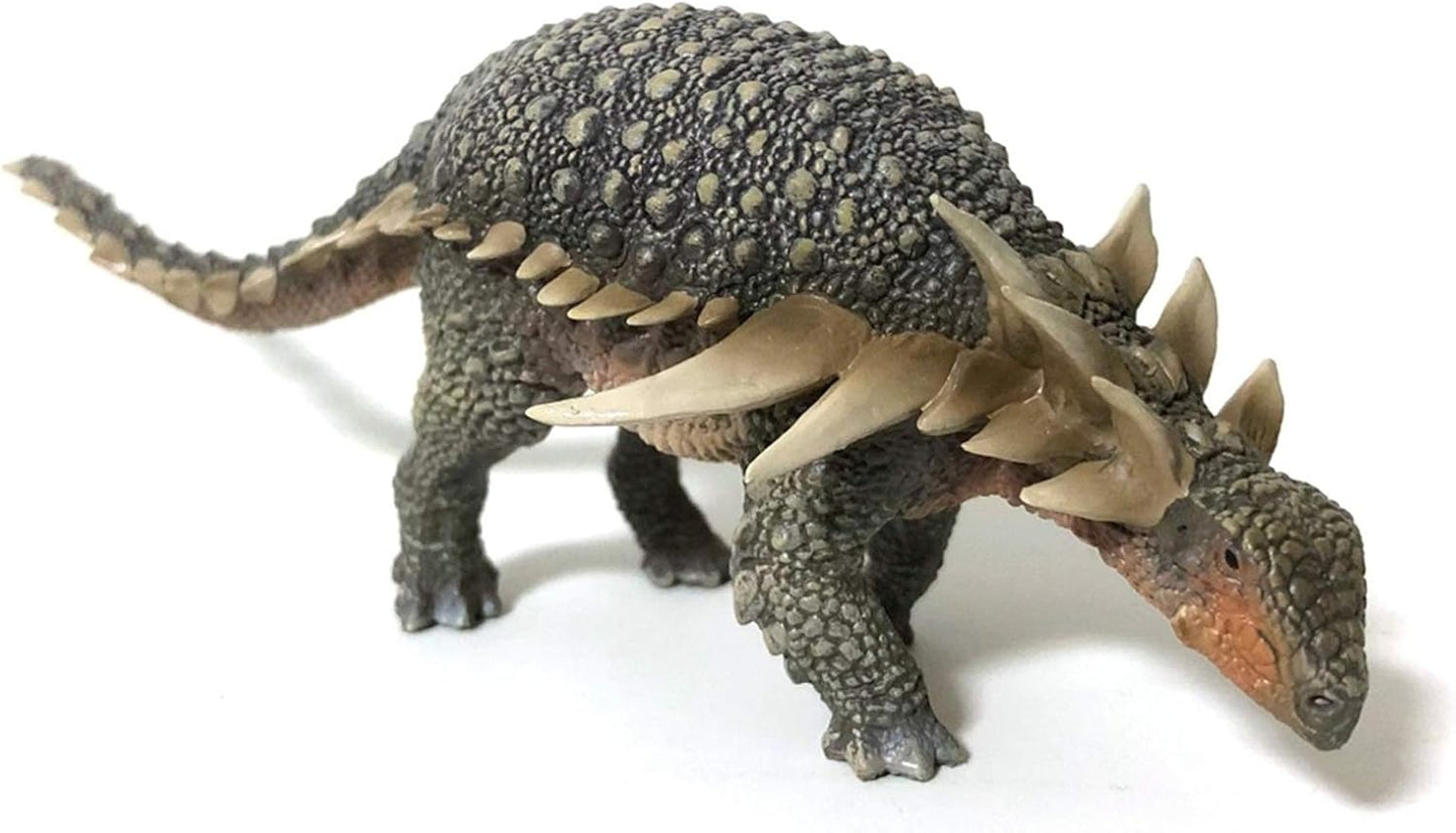 PNSO 成長シリーズ サウロペルタ 恐竜 動物 フィギュア PVC プラモデル おもちゃ 模型 17.3cm級