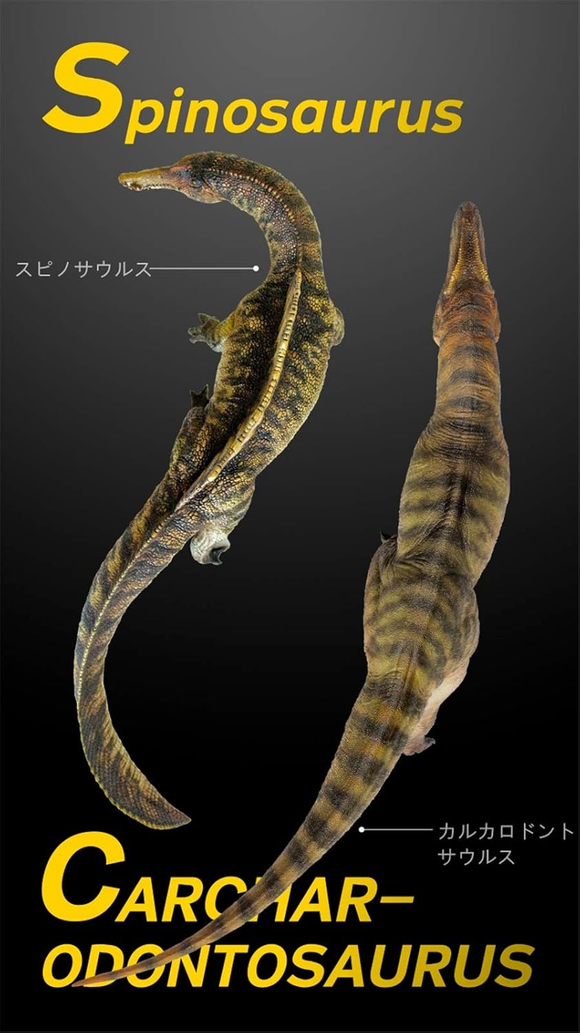 PNSO 成長シリーズ カルカロドントサウルス 恐竜 フィギュア プラモデル おもちゃ 模型 PVC 29.1cm級