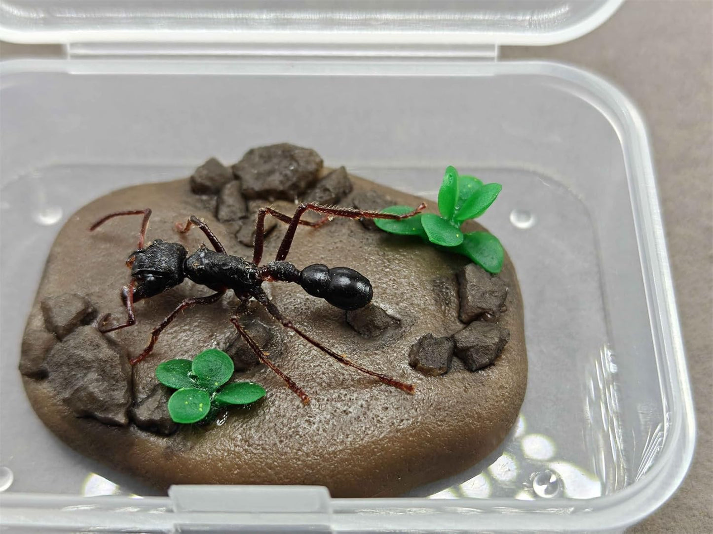 涅槃 サシハリアリ フィギュア アリ 刺針蟻 ハチ目 弾丸アリ 冷蔵庫貼り 磁気飾り物 おもちゃ 模型 完成品