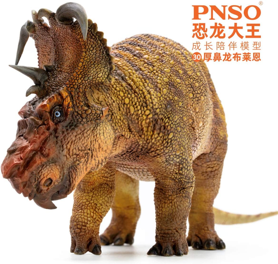 PNSO 成長シリーズ パキリノサウルス 恐竜 角竜 フィギュア PVC プラモデル おもちゃ 模型 15.1cm級