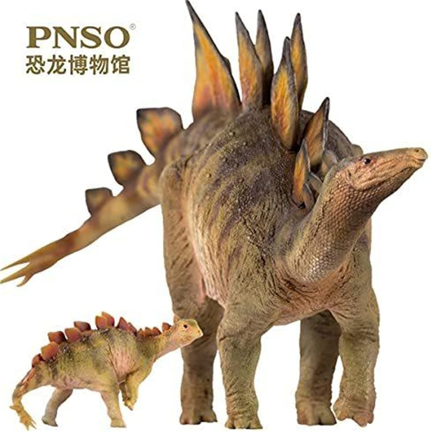 PNSO 1/35 サイズ ステゴサウルス 恐竜博物館シリーズ フィギュア プラモデル おもちゃ 模型 PVC 21.5cm級