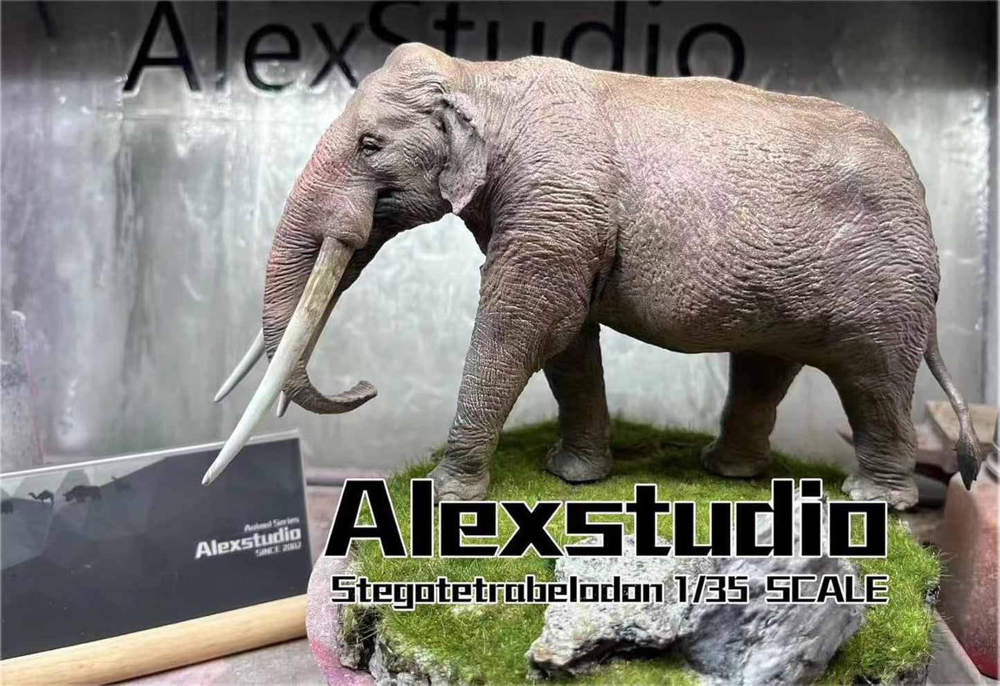 BACALYSO | ALEX STUDIO 1/35 Scale Stego Tetraverodon Figure, Neocene Medieval Mammalian Extinction, Elephant, Ancient Statue, Resin, Painted, Statue, Cute, Realistic Animal, Plastic Model, Toy, Model,