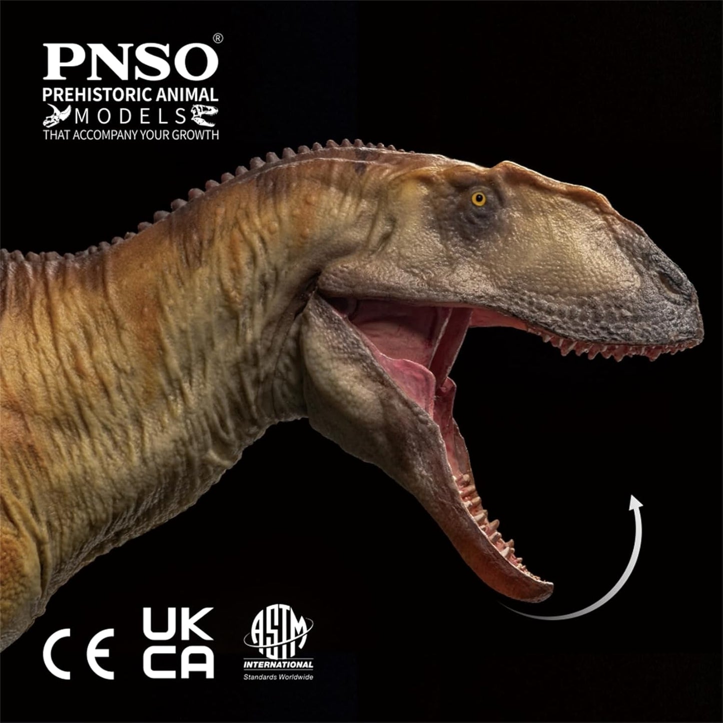 PNSO 成長シリーズ 77 ヤンチュアノサウルス フィギュア 22.5cm級 恐竜 PVC おもちゃ 模型