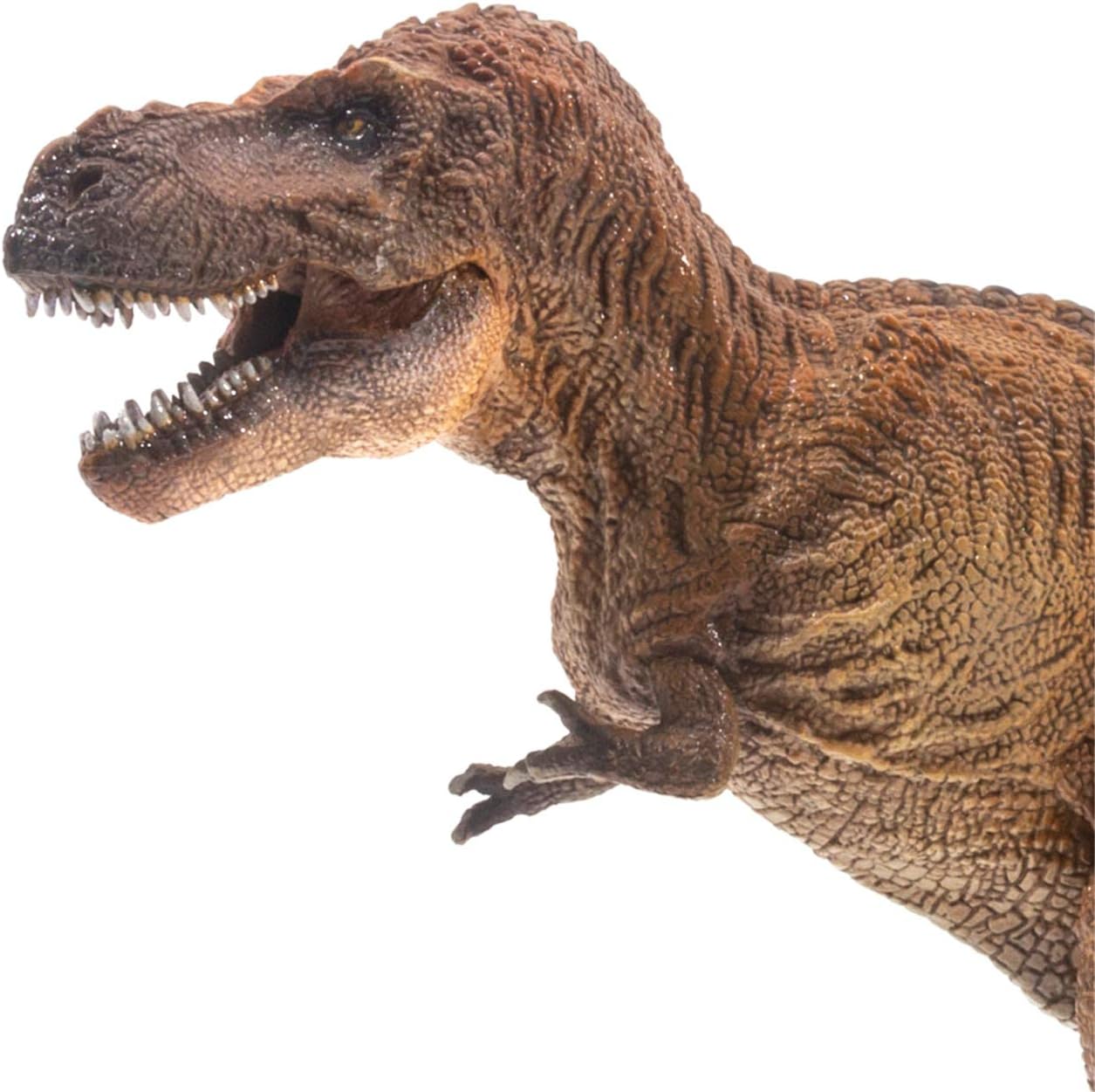 PNSO 成長シリーズ ティラノサウルス・レックス ウィルソン T-REX Tレックス 恐竜 フィギュア PVC プラモデル 37cm級