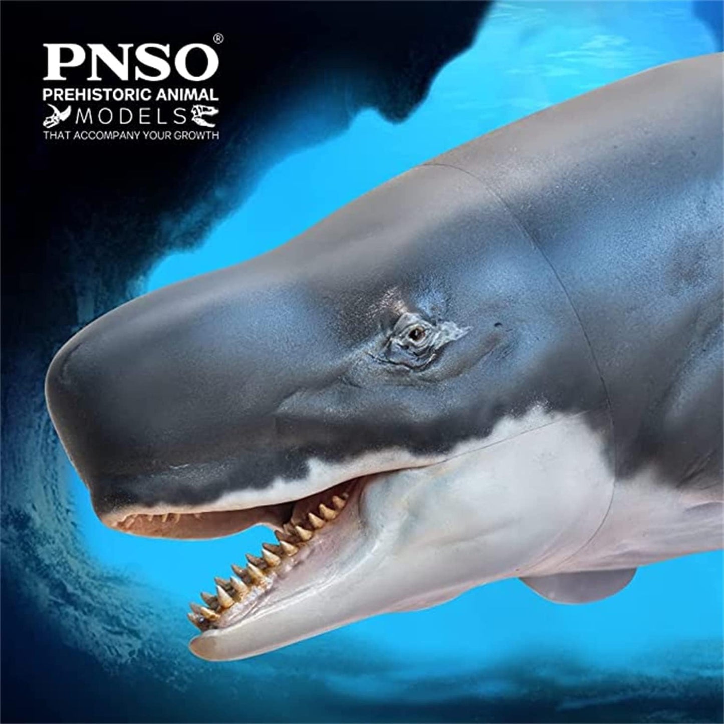 PNSO 成長シリーズ 56 リヴィアタン・メルビレイ リビアタン リヴァイアサン 海洋動物 フィギュア PVC おもちゃ 模型 32cm級