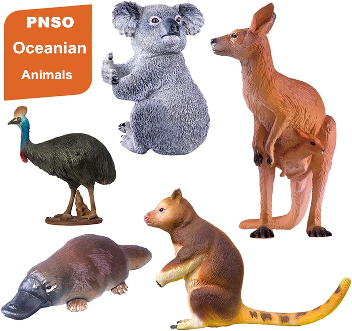 PNSO 5個 セット大洋州 オセアニア オーストラリア コアラ コモリグマ レッドカンガルー 動物 リアル フィギュア プラモデル おもちゃ 模型 25cm級