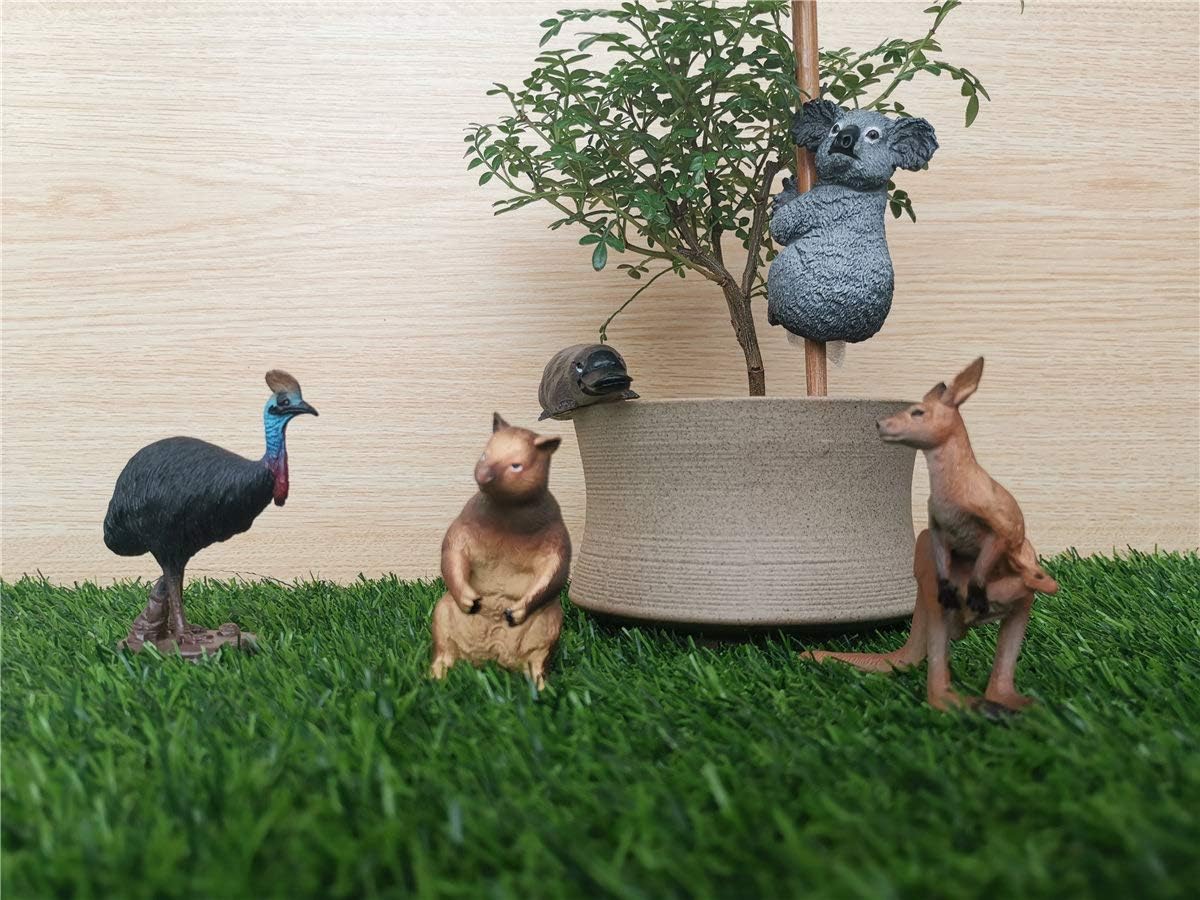 PNSO 5個 セット大洋州 オセアニア オーストラリア コアラ コモリグマ レッドカンガルー 動物 リアル フィギュア プラモデル おもちゃ 模型 25cm級