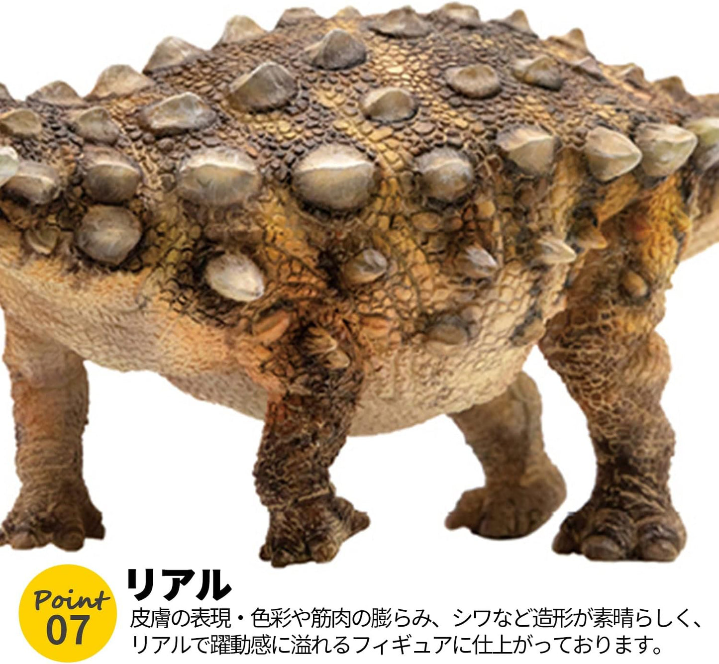 PNSO アンキロサウルス ジュラシック 恐竜 フィギュア PVC プラモデル おもちゃ 模型 25cm級