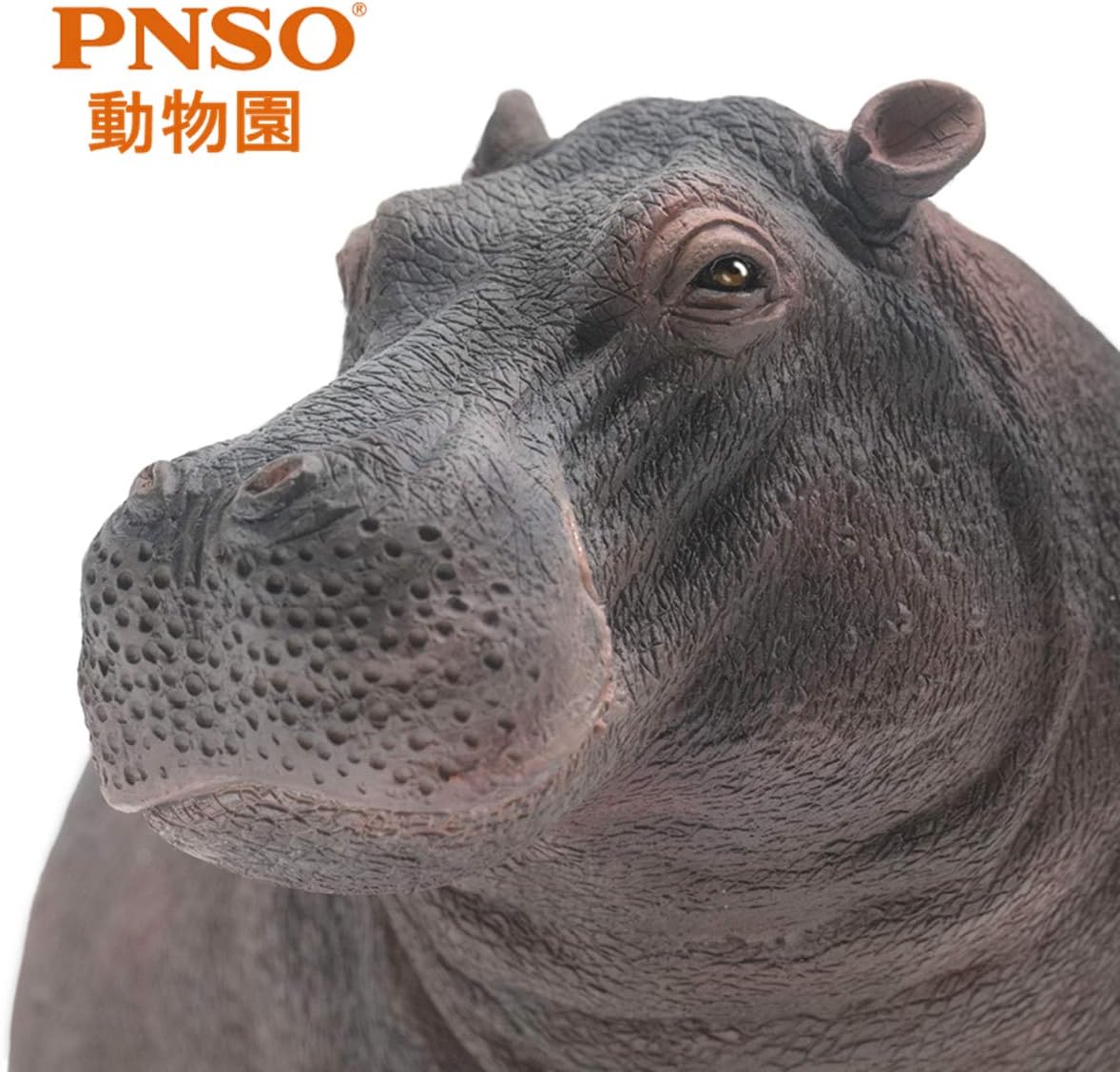 PNSO 動物園シーリーズ カバ 野生動物 フィギュア PVC プラモデル 模型 おもちゃ