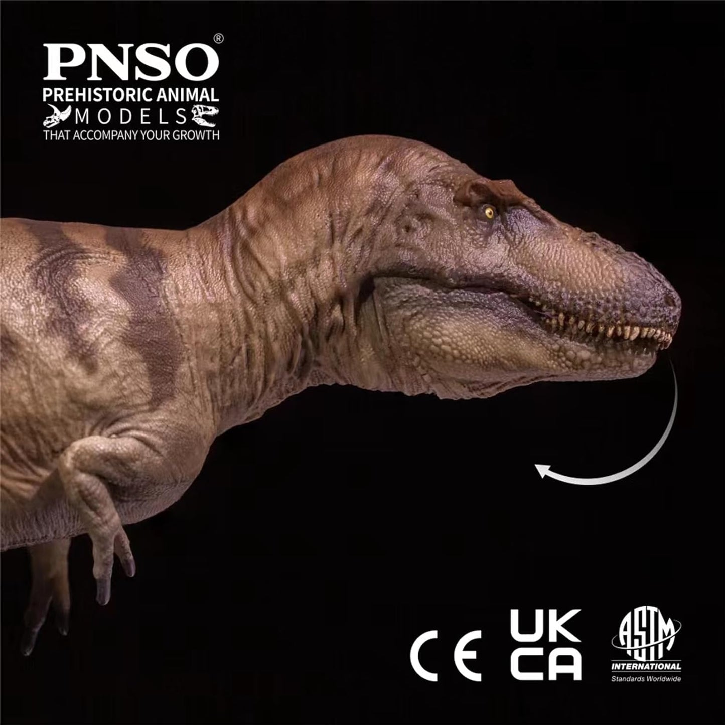 PNSO 成長シリーズ 73 ダスプレトサウルス フィギュア 26cm級 恐竜 PVC おもちゃ 模型