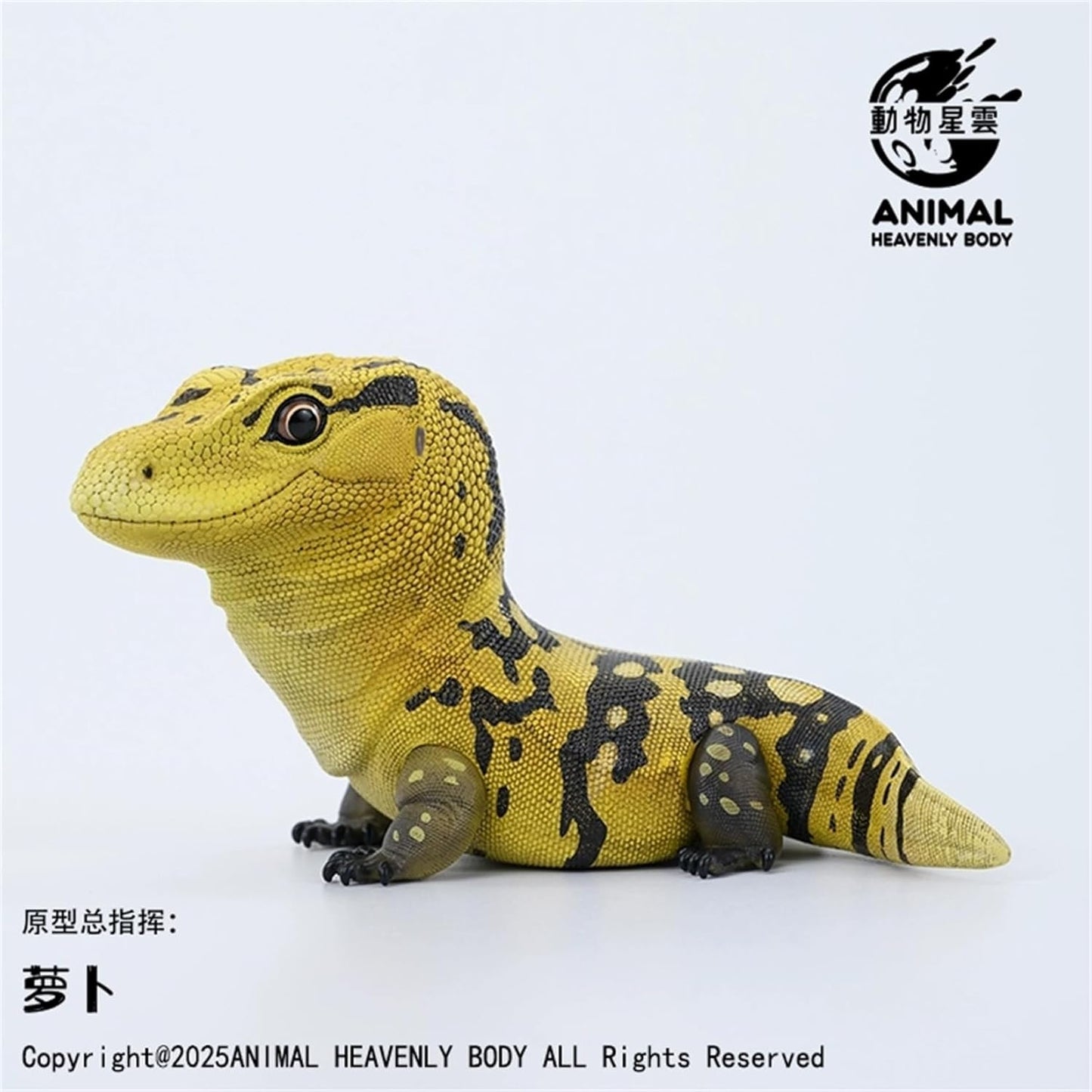 動物惑星 トカゲ ガチャガチャ2.0 7~10CM級 アメリカドクトカゲ マツカサトカゲ コモドオオトカゲ アカメカブトトカゲ 爬虫類 フィギュア 全8種 樹脂 可愛い おもちゃ プラモデル 動物 好き 模型 (お揃い)