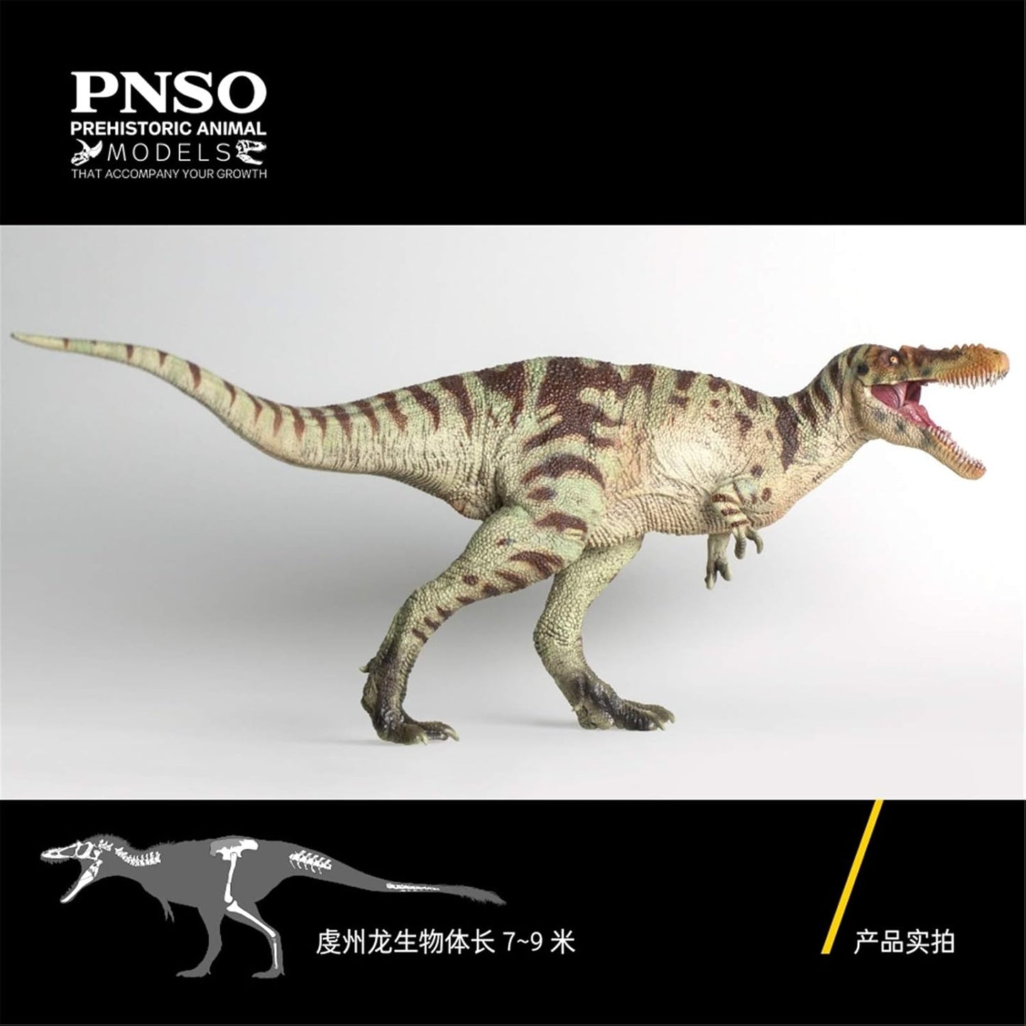 PNSO成長シリーズ キアンゾウサウルス チアンジョウサウルス 恐竜 リアル フィギュア PVC プラモデル おもちゃ 模型 23.8cm級