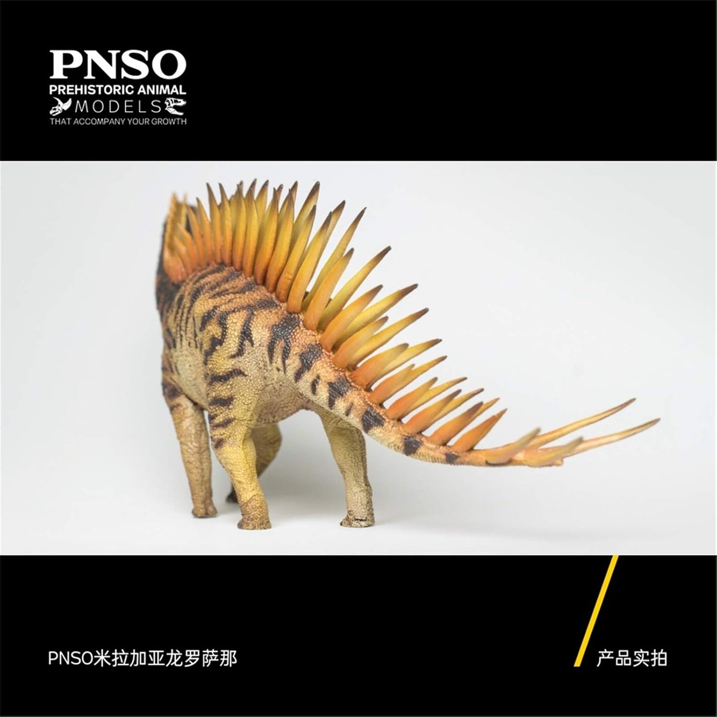 PNSO 成長シリーズ 39 ミラガイア 恐竜 フィギュア