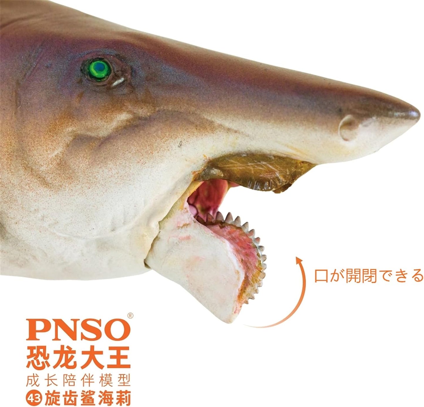 PNSO 成長シリーズ ヘリコプリオン 動物 フィギュア プラモデル おもちゃ 模型 PVC 21cm級