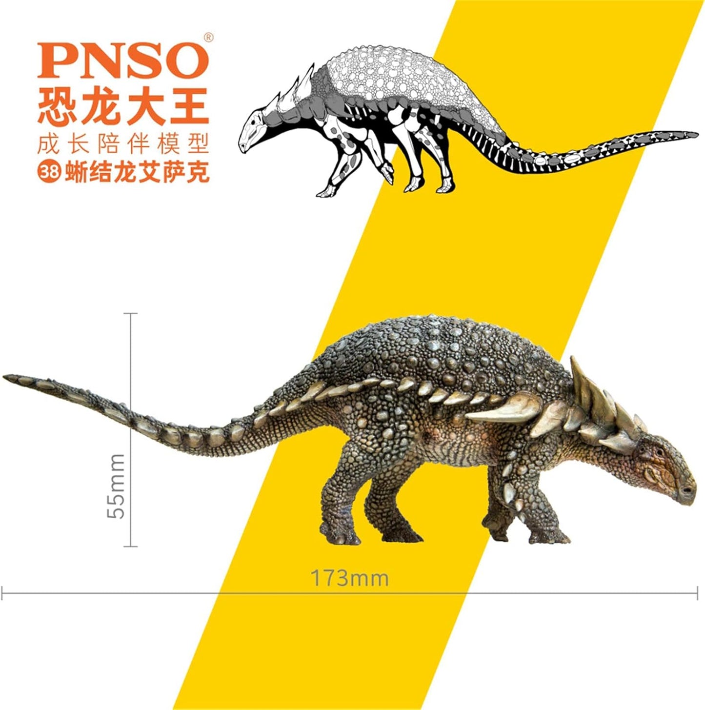 PNSO 成長シリーズ サウロペルタ 恐竜 動物 フィギュア PVC プラモデル おもちゃ 模型 17.3cm級