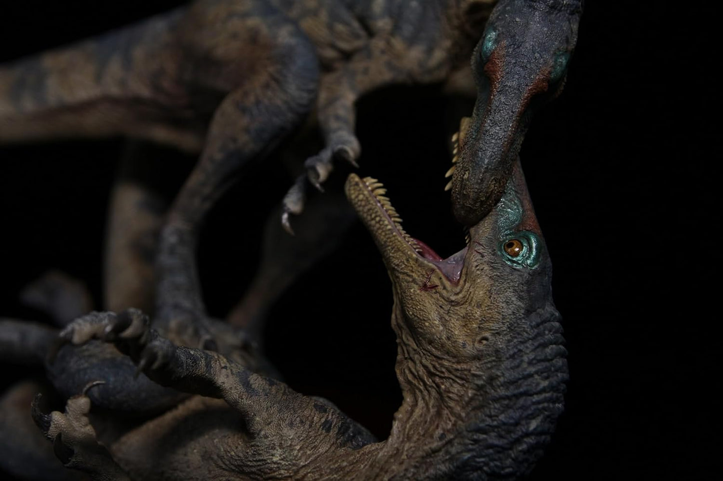 SHOWANNA 1/6スケール グナトヴォラックス 獣脚類 恐竜 リアル フィギュア 39CM級 樹脂 プラモデル 模型 スタチュー 台座付き (完成品)